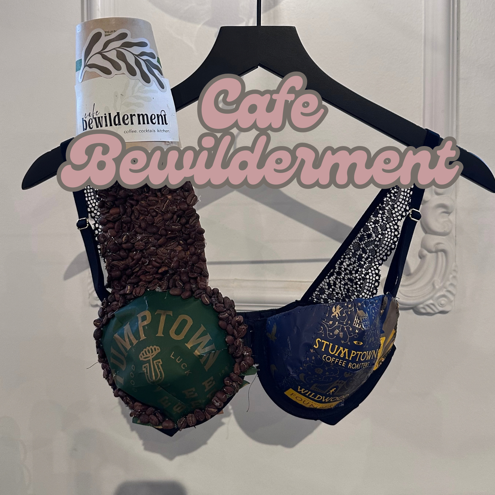 2026_ Hertel Bra Crawl Submissions.png