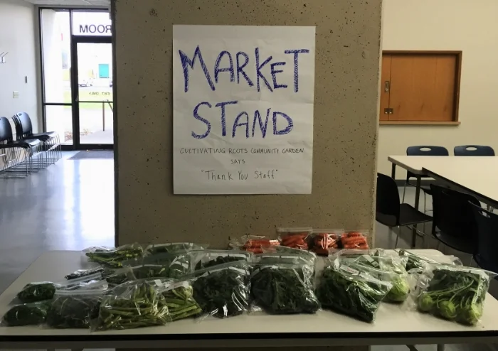 Even after the garden is closed, it keeps giving. 14 more lbs. of produce were harvested from the Cultivating Roots Garden last Friday by garden staff.