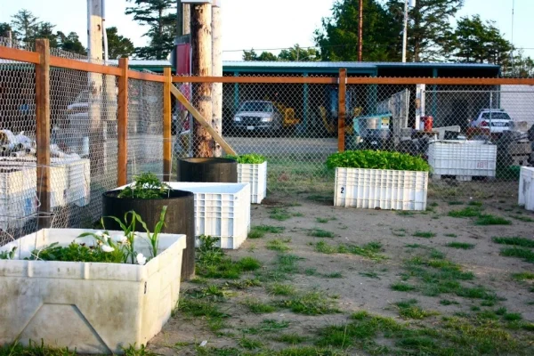 CommGarden2.jpg