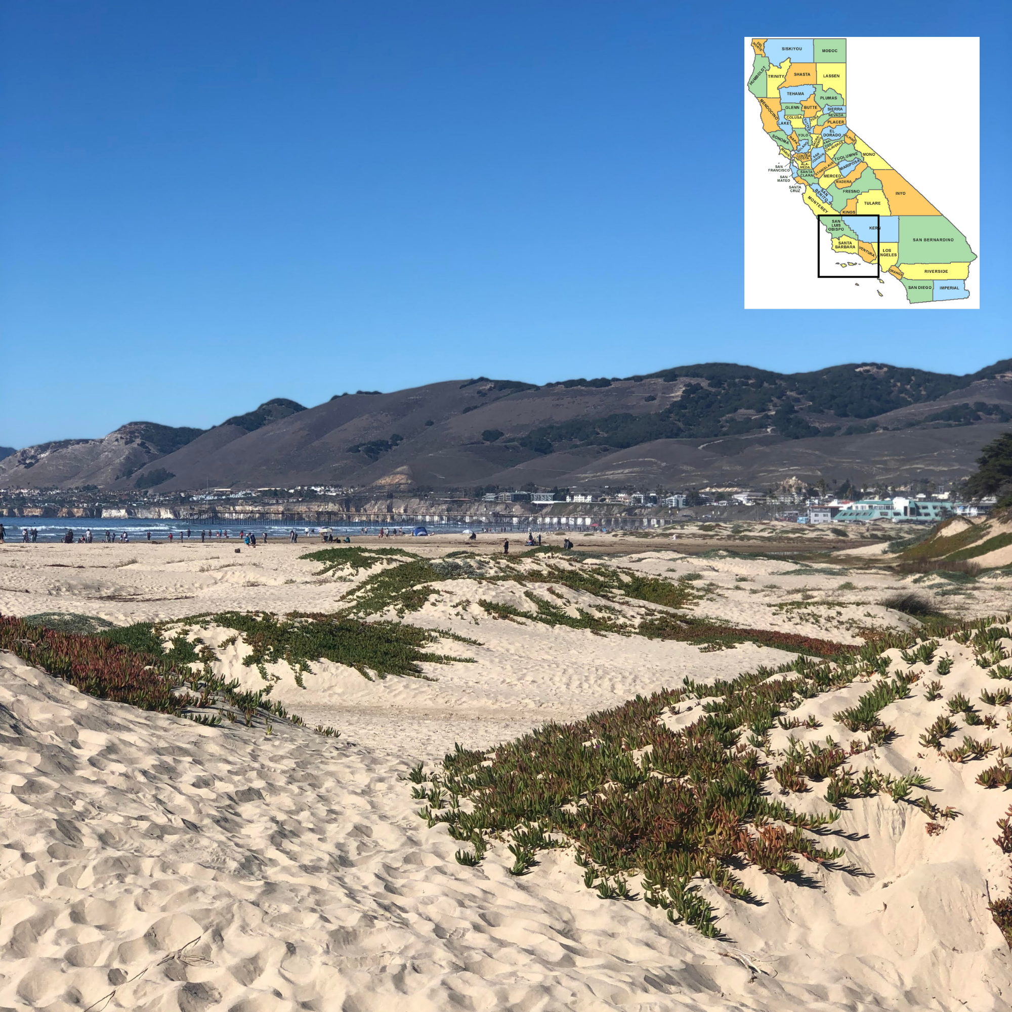 California South Central Coast Tap Takeover