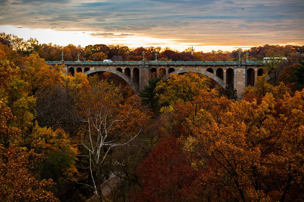 Bridge in Fall.jpg
