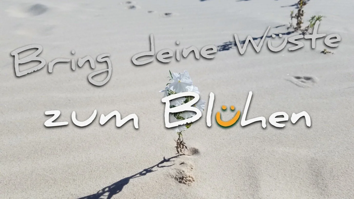 Bring deine Wüste zum Blühen