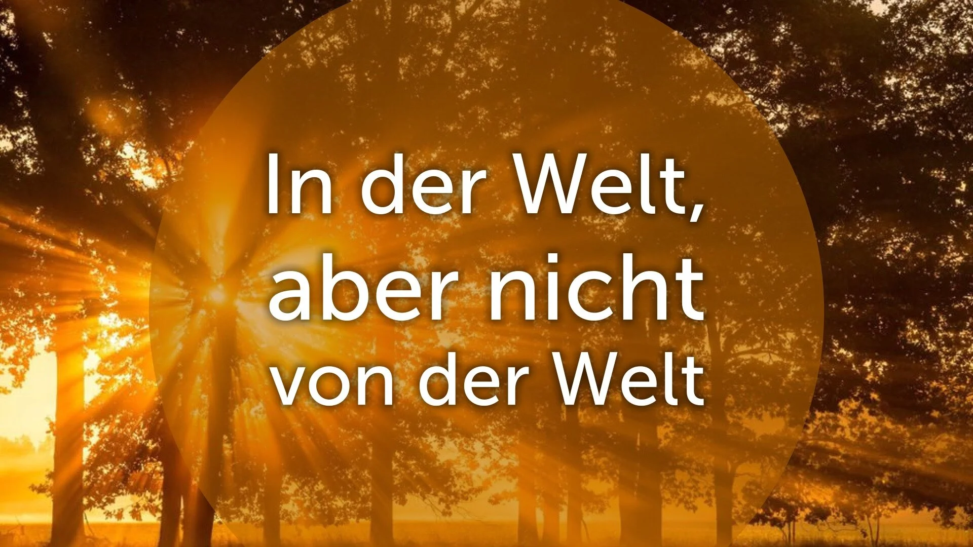 In der Welt aber nicht von der Welt