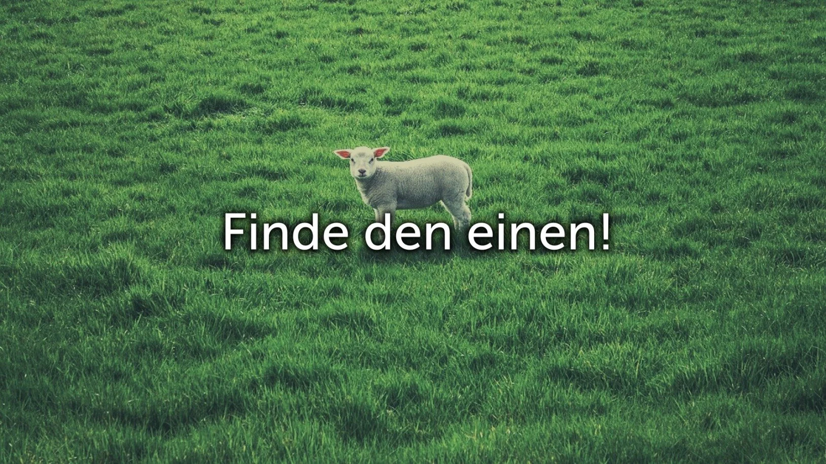 Finde den einen!