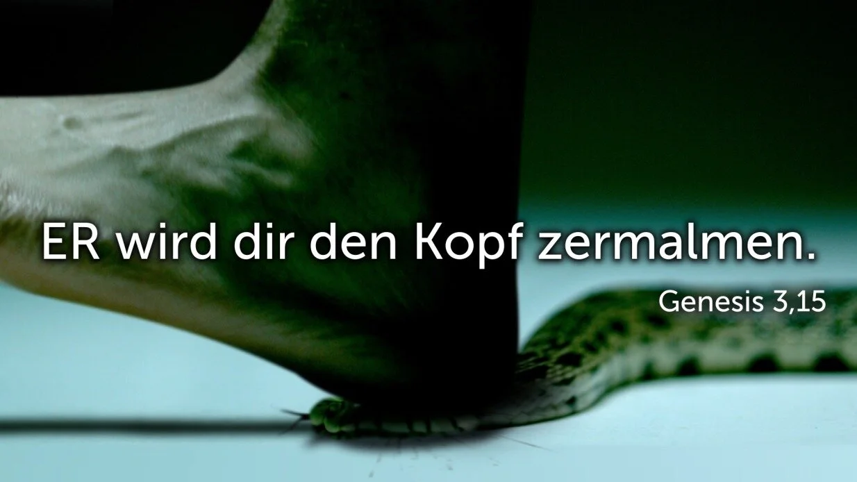 ER wird ihr den Kopf zertreten