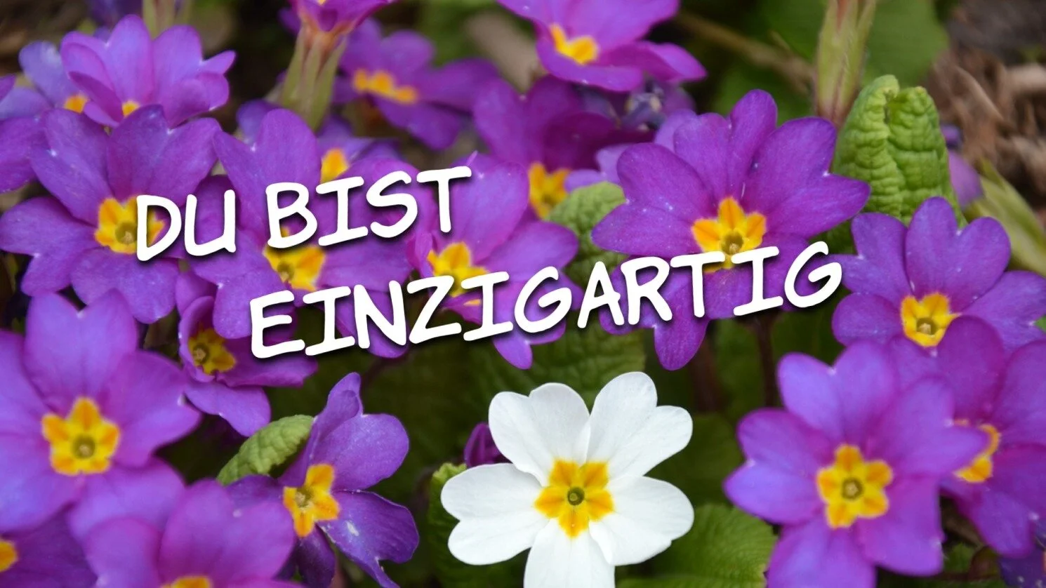 Du bist einzigartig