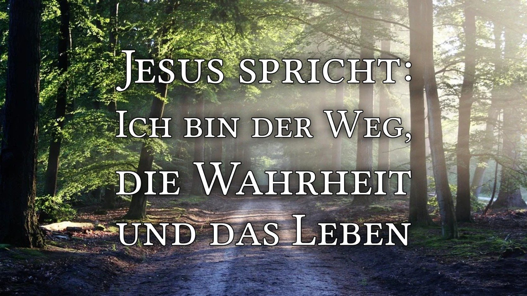 Ich bin der Weg, die Wahrheit und das Leben