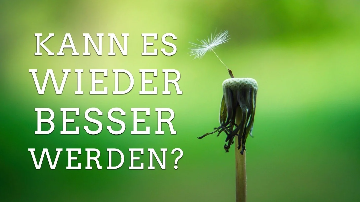 Kann es wieder besser werden?