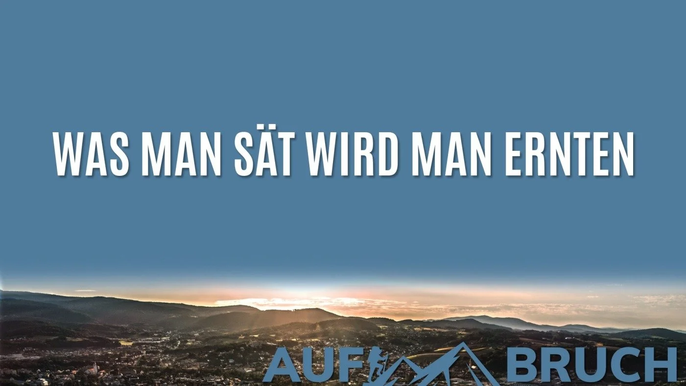 Was man sät wird man ernten