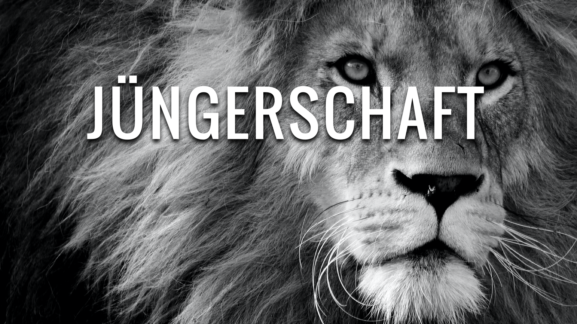 Jüngerschaft