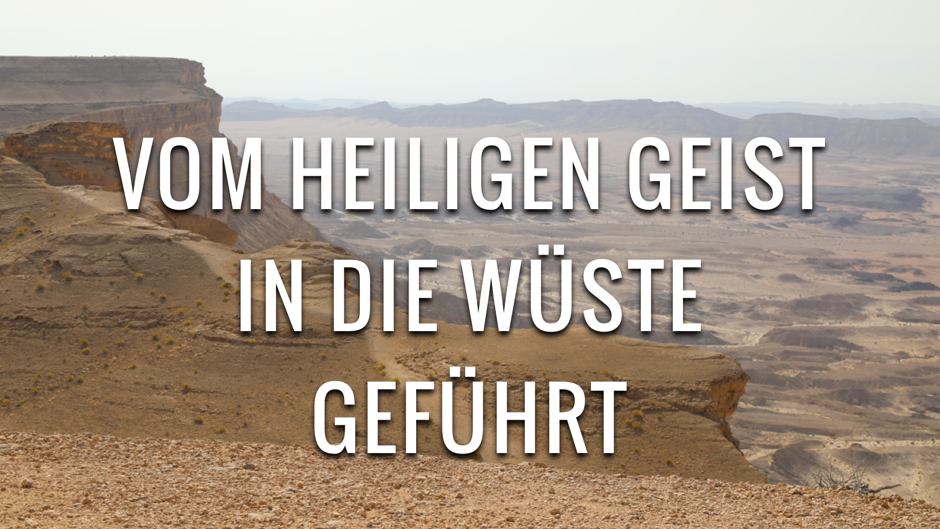 Vom Heiligen Geist in die Wüste geführt