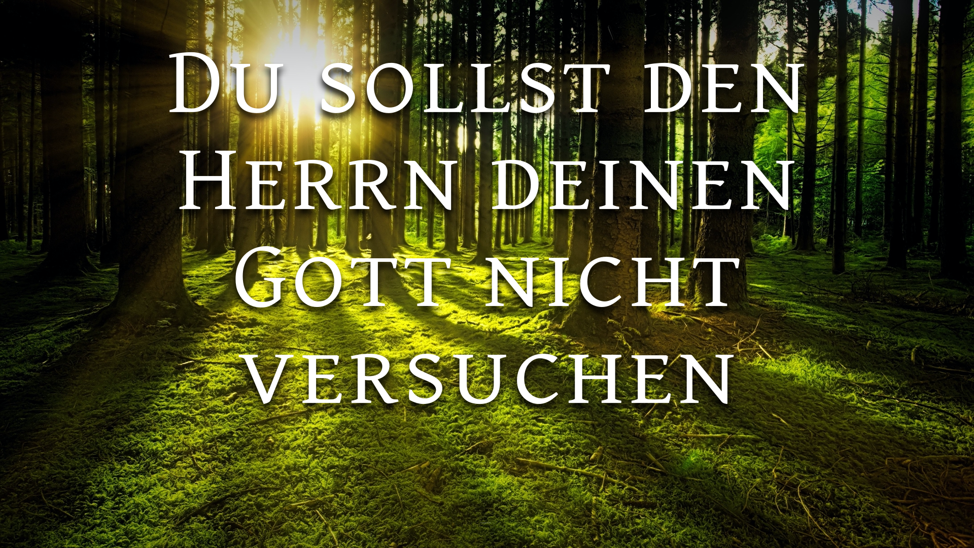 Du sollst den Herrn deinen Gott nicht versuchen