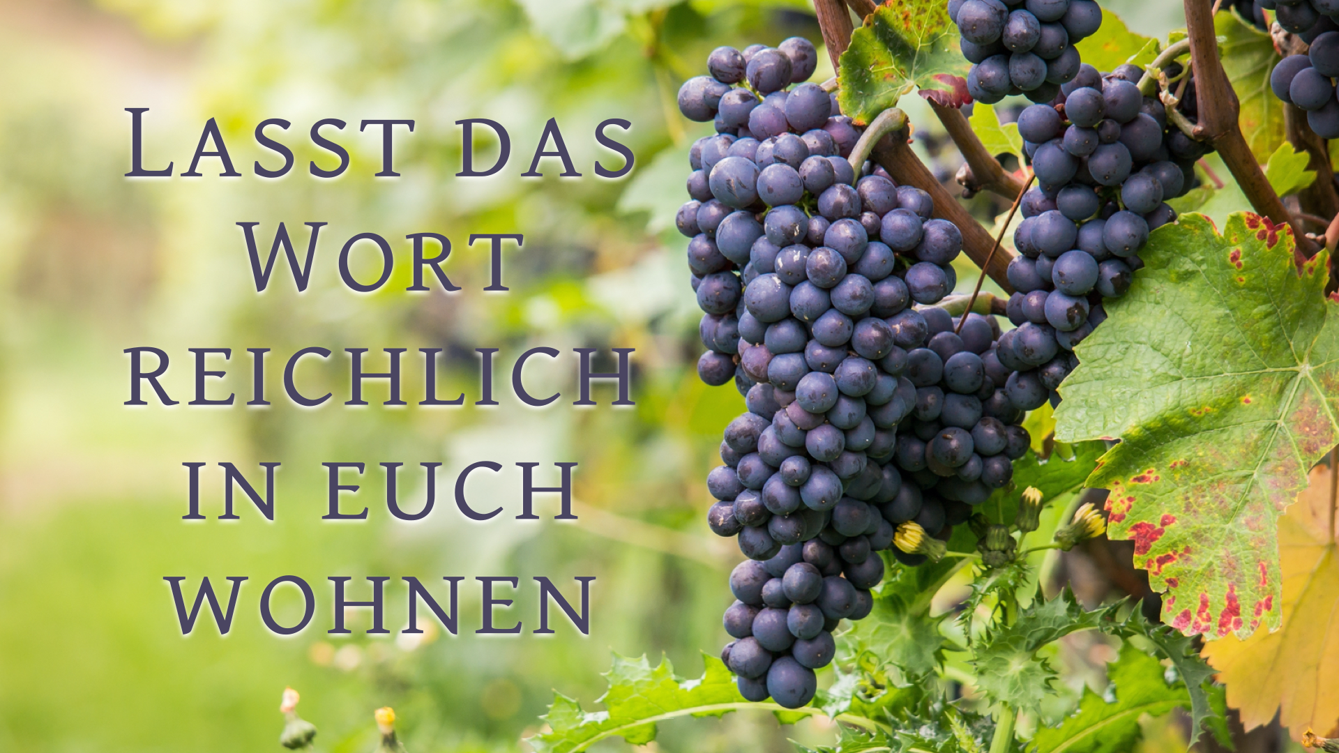 Lasst das Wort reichlich in euch wohnen