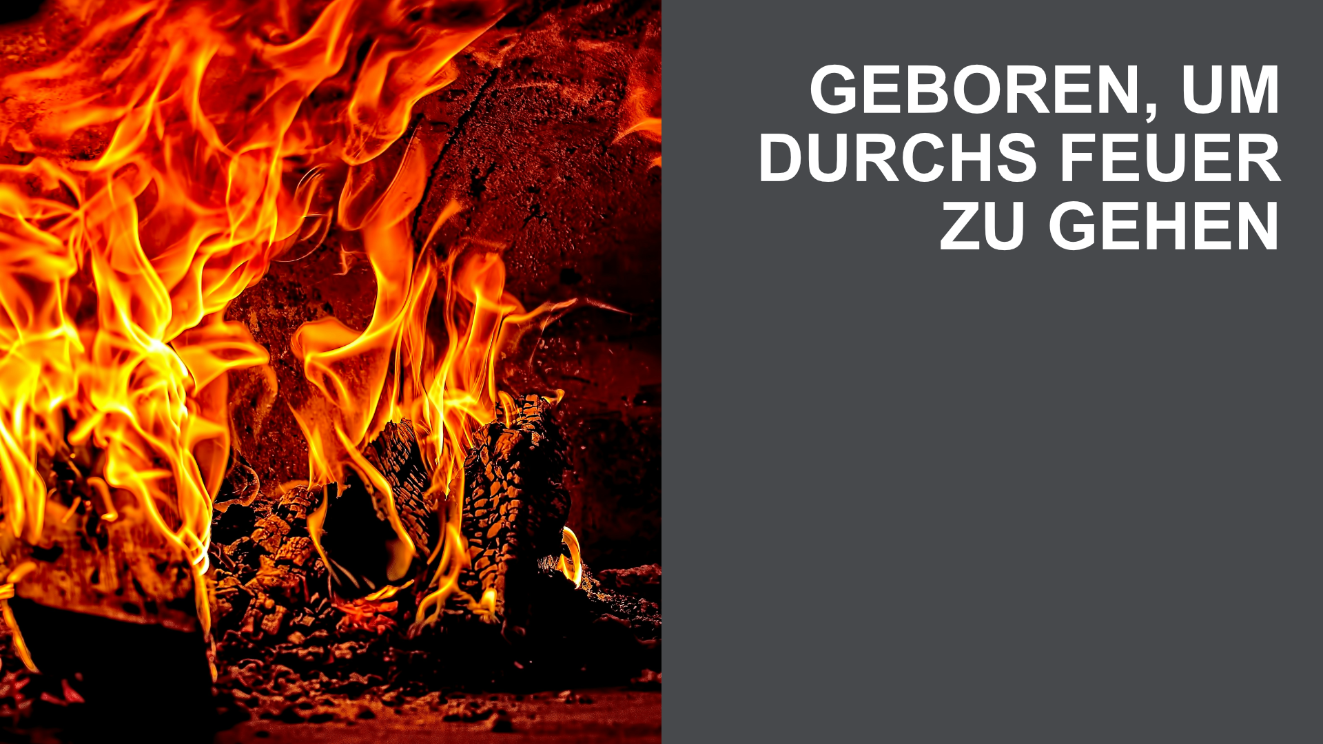 Geboren, um durchs Feuer zu gehen