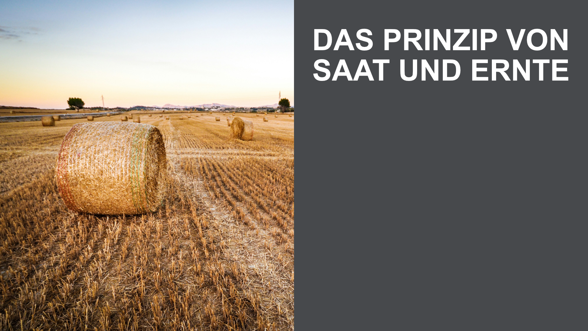 Das Prinzip von Saat und Ernte