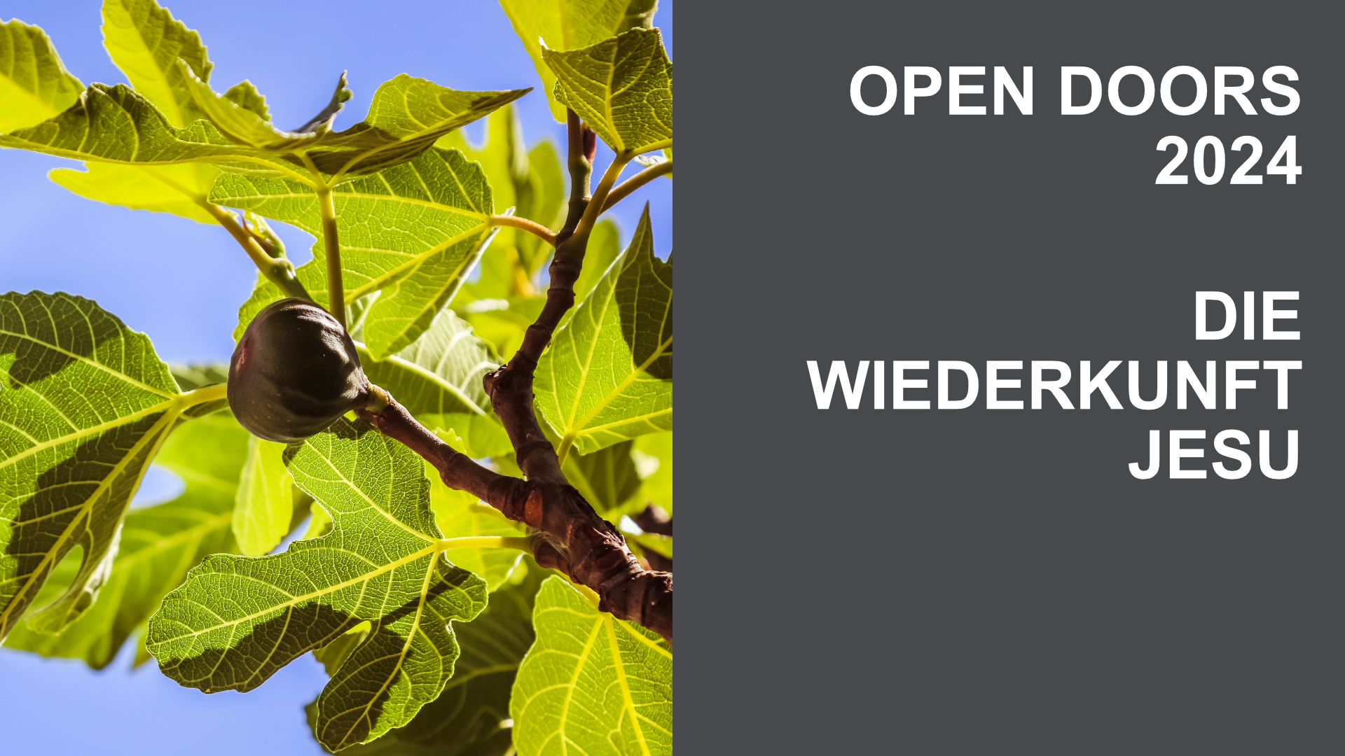 Die Wiederkunft Jesu