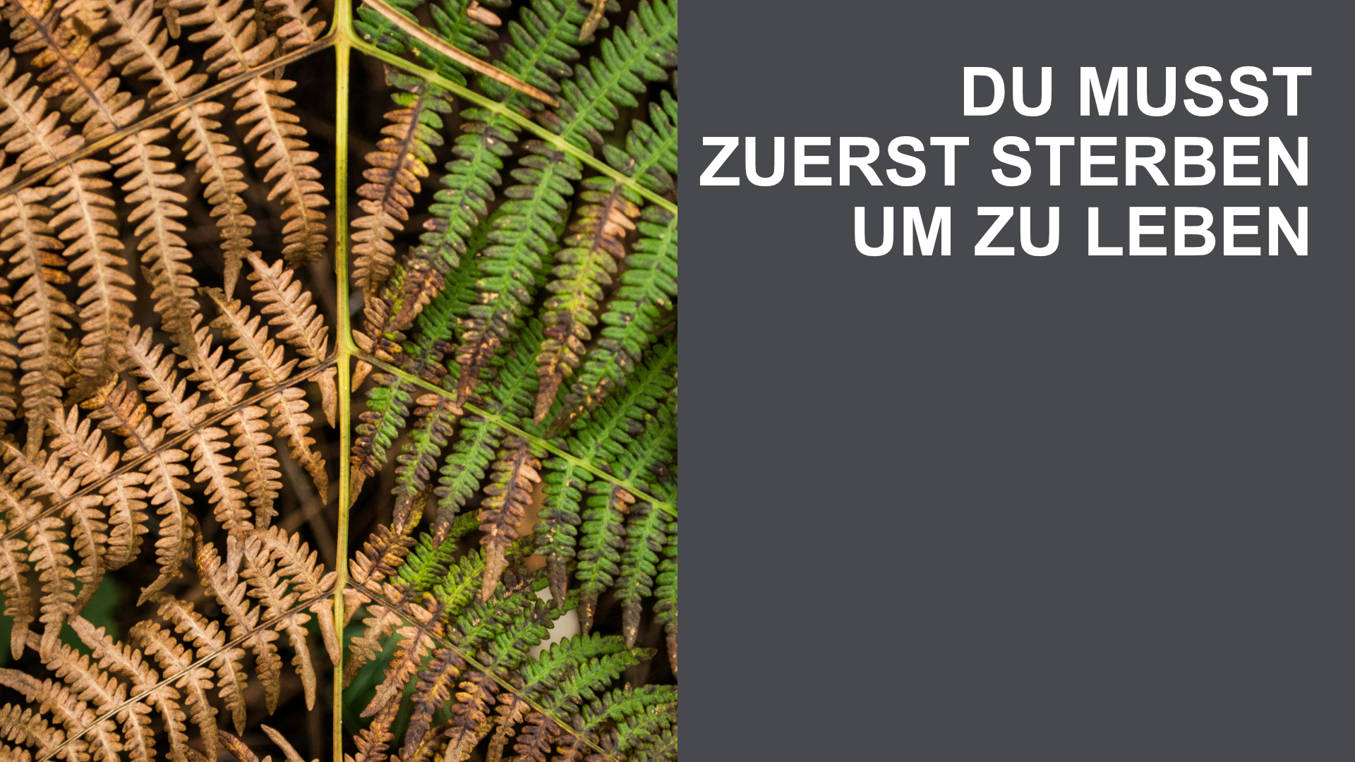 Du musst zuerst sterben um zu leben