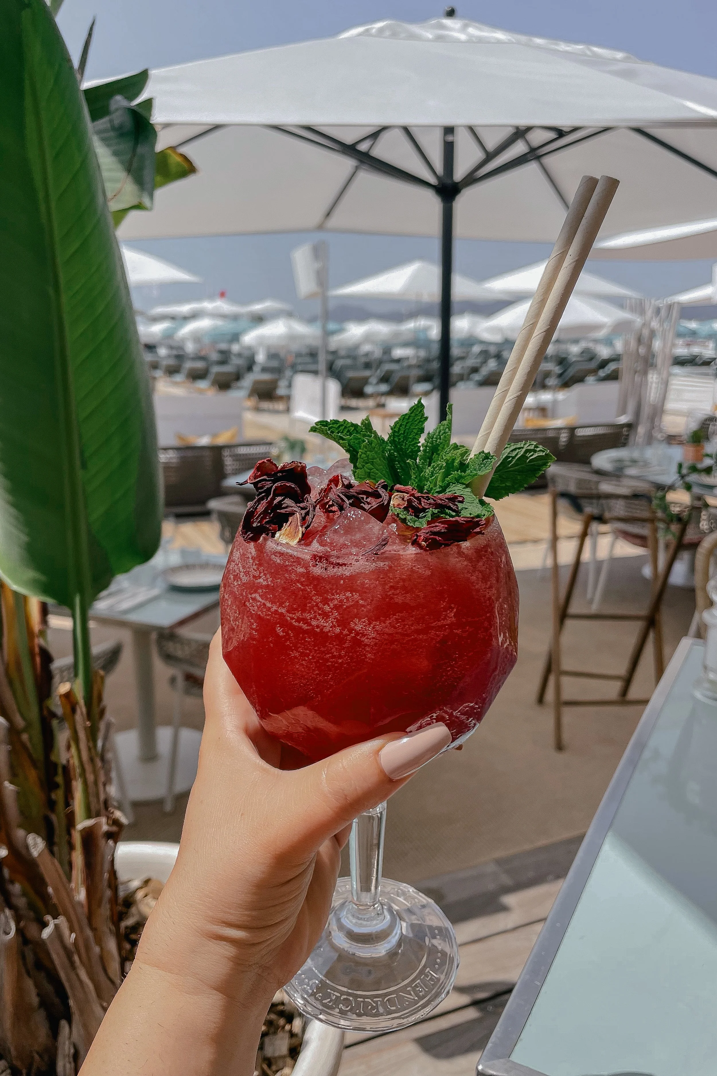 Hotel-cocktail-1.jpg
