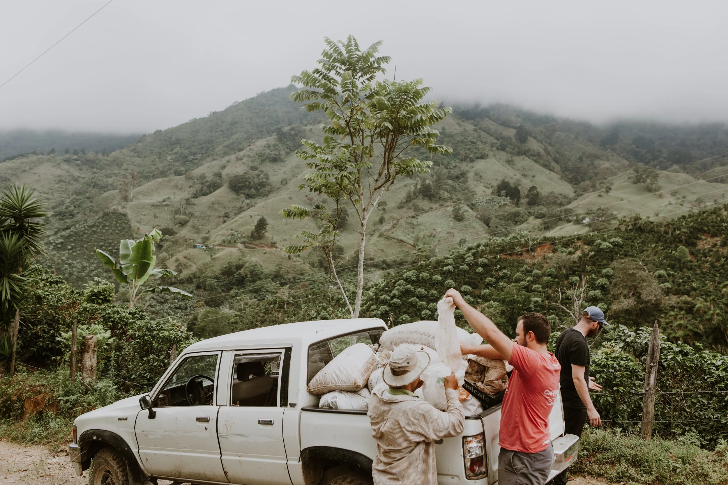 Costa Rica Processing-4 (1).jpg
