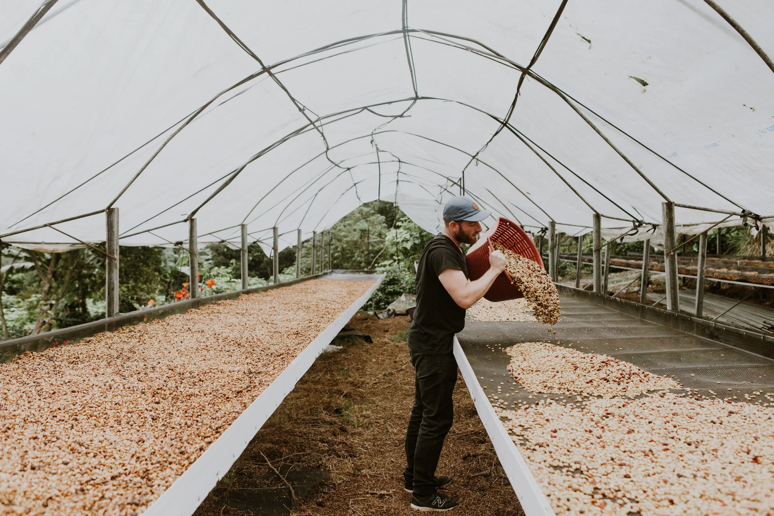 Costa Rica Processing-11.jpg