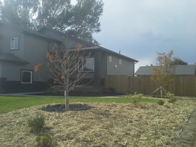 Large Trees add instant maturity to yard. 