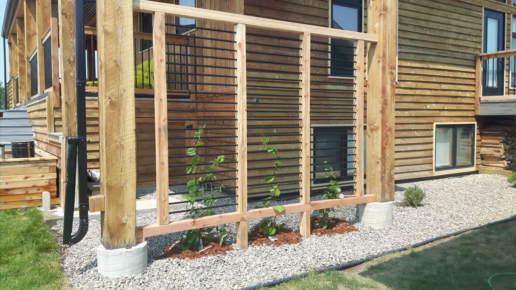 Custom Trellis for Grapes
