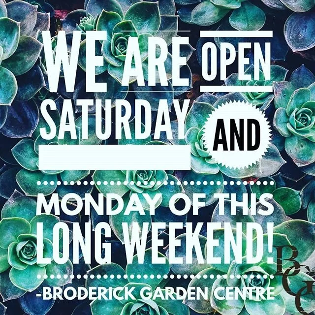 Our hours this weekend are Saturday 9-6, Sunday closed, Monday 9-6