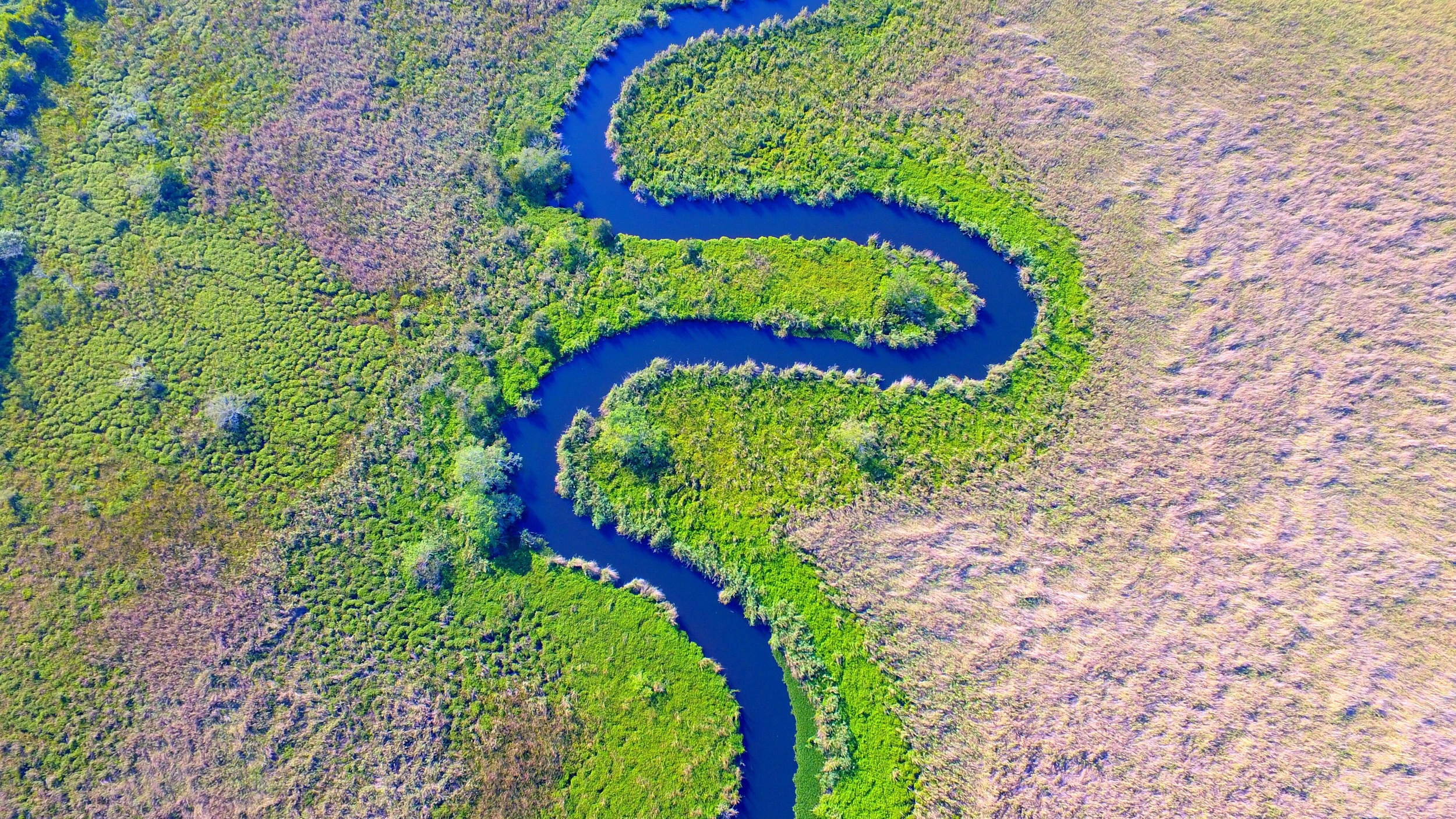 Nayarit Mexico