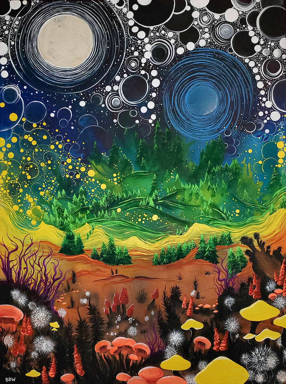 20200131_181534a 1000.jpg