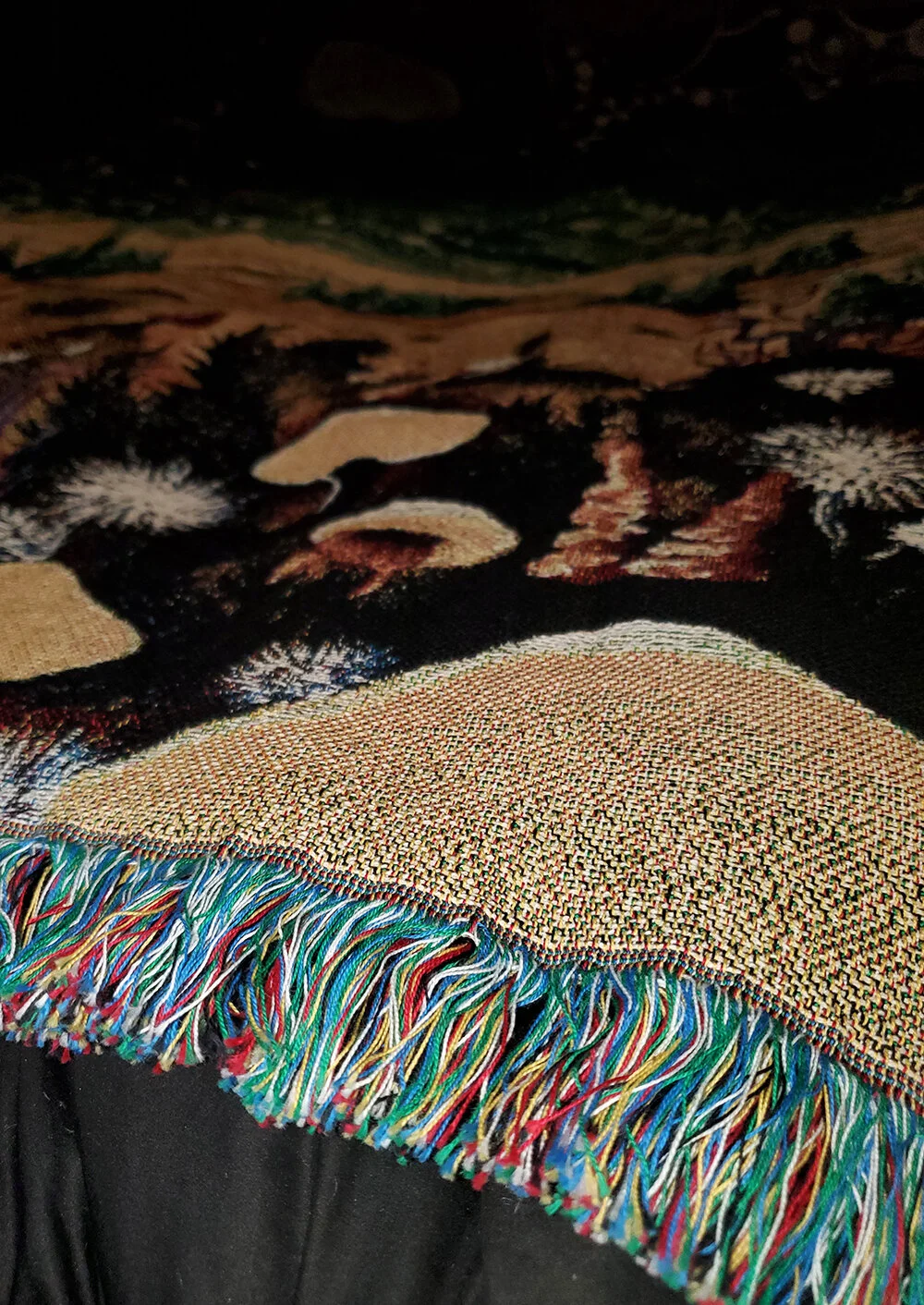 20210117_145138 a1000.jpg