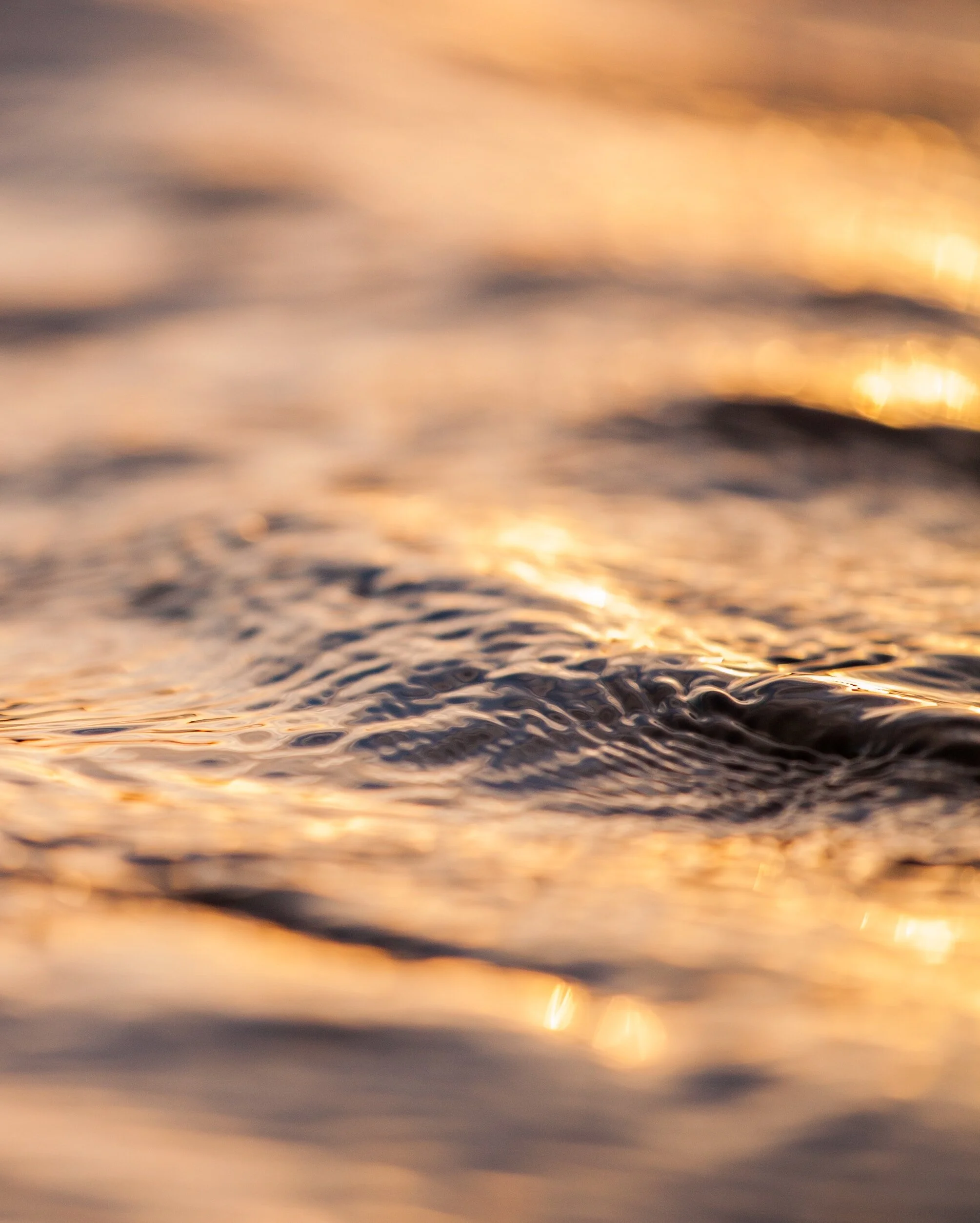 F3756A5B-9BD8-469F-BA1C-FE704CB9C735