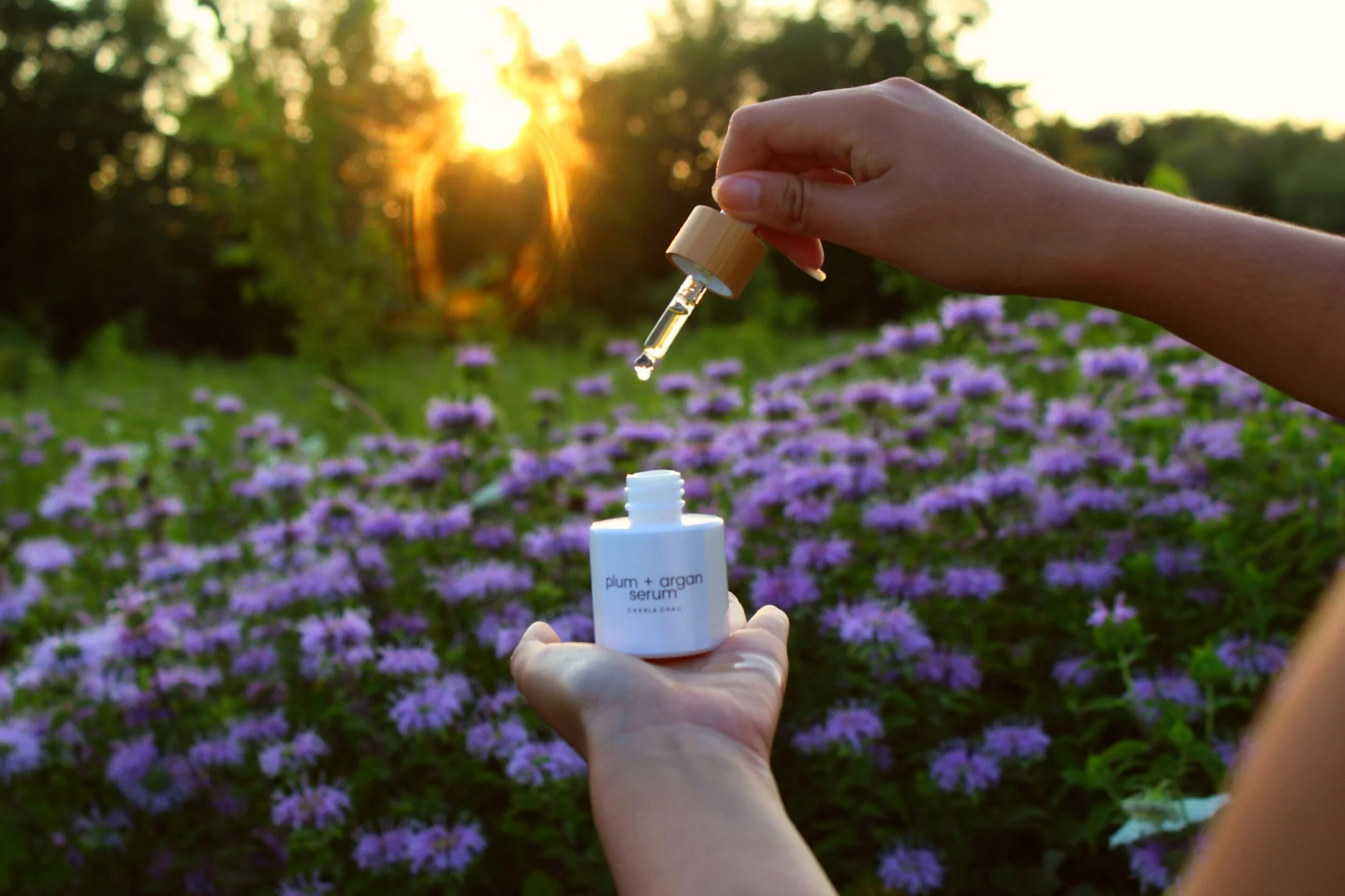 E9305907-638F-4EF8-B6CC-78F8EDA02E7C