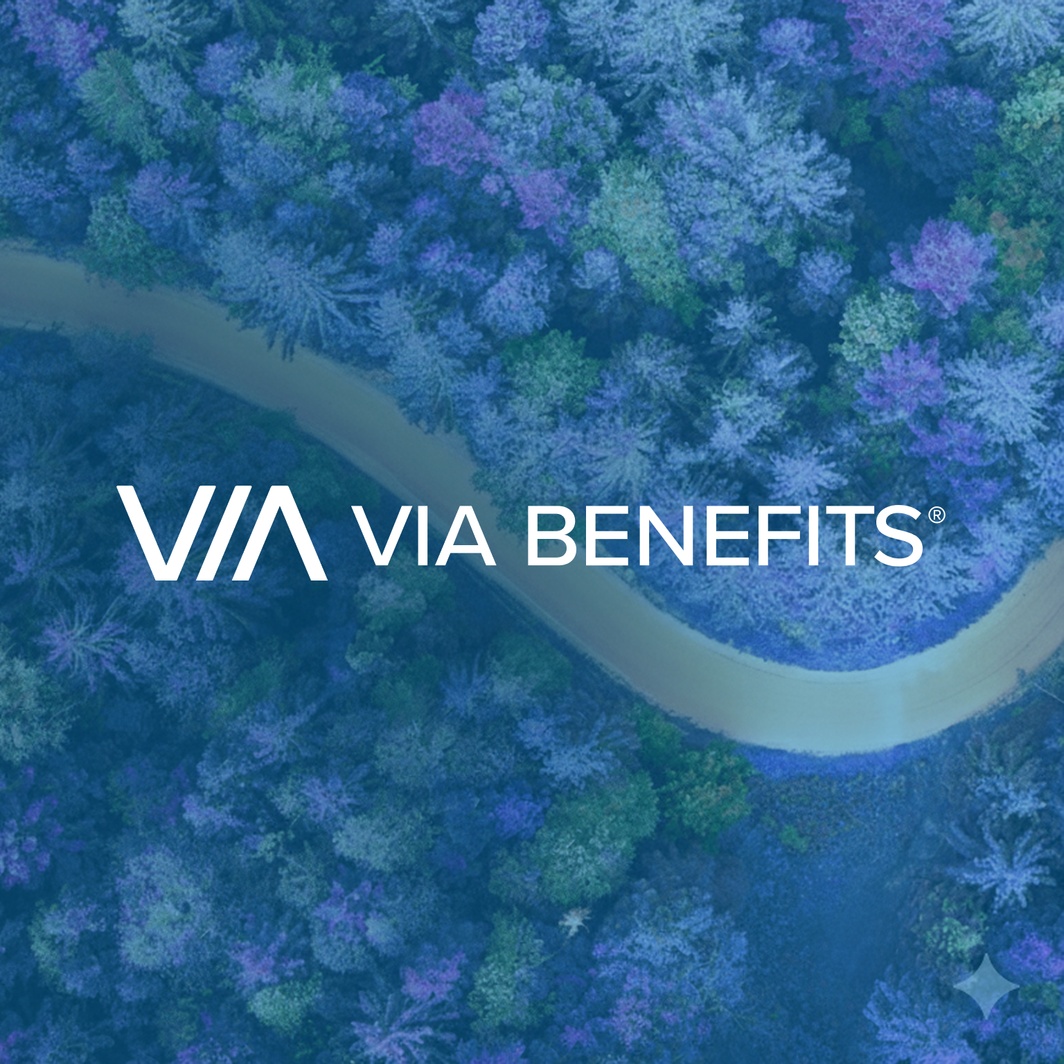 ViaBenefitsCard2.png