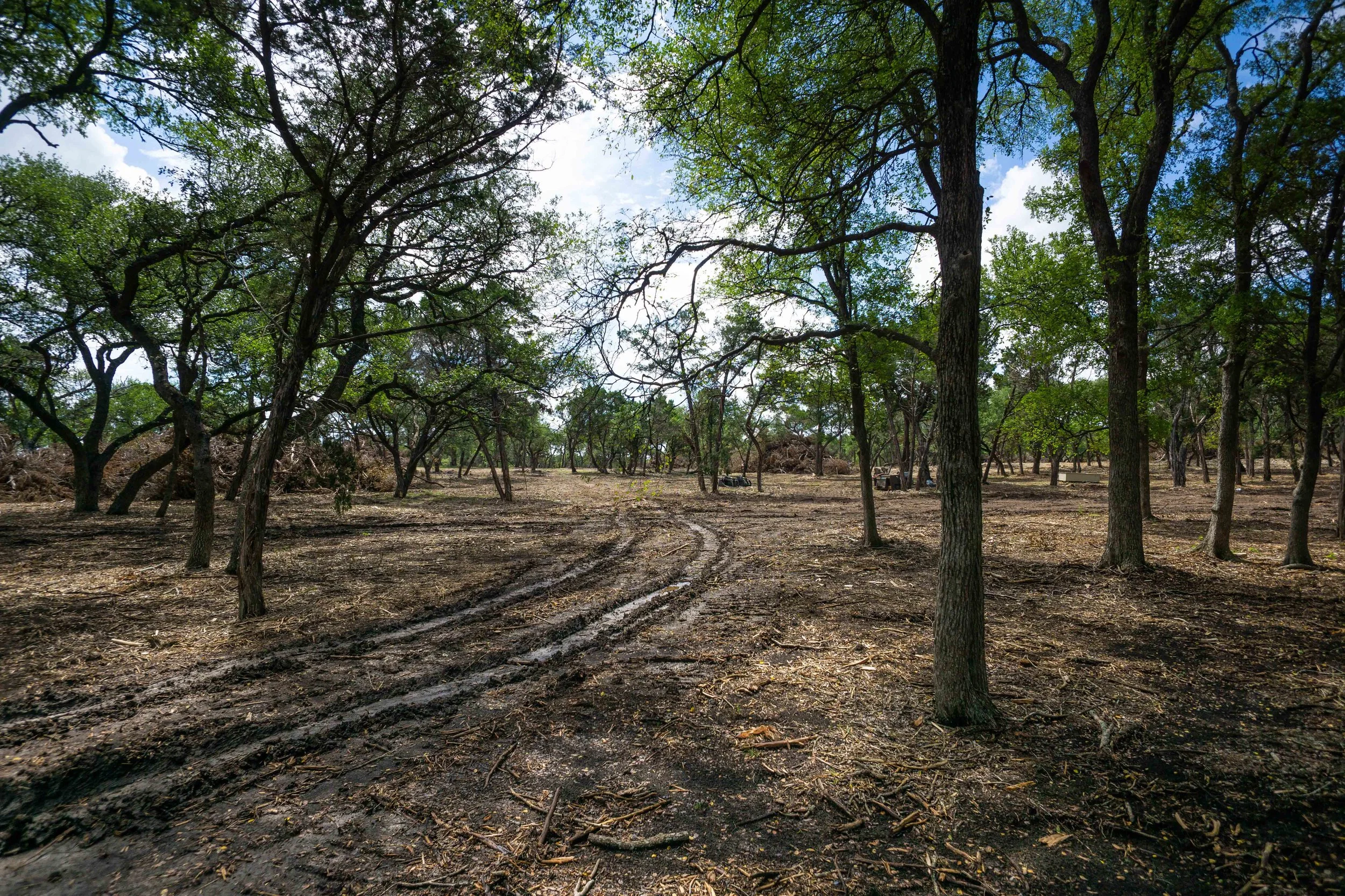 Belterra Land Clearing Project Kleensite