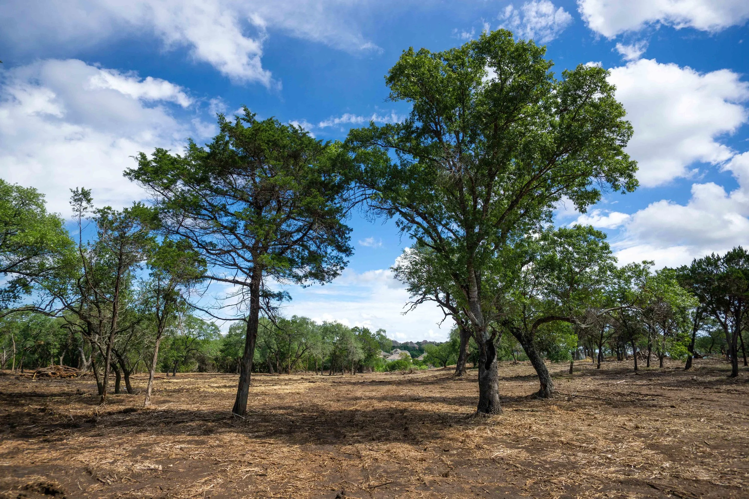 Belterra Land Clearing Project Kleensite
