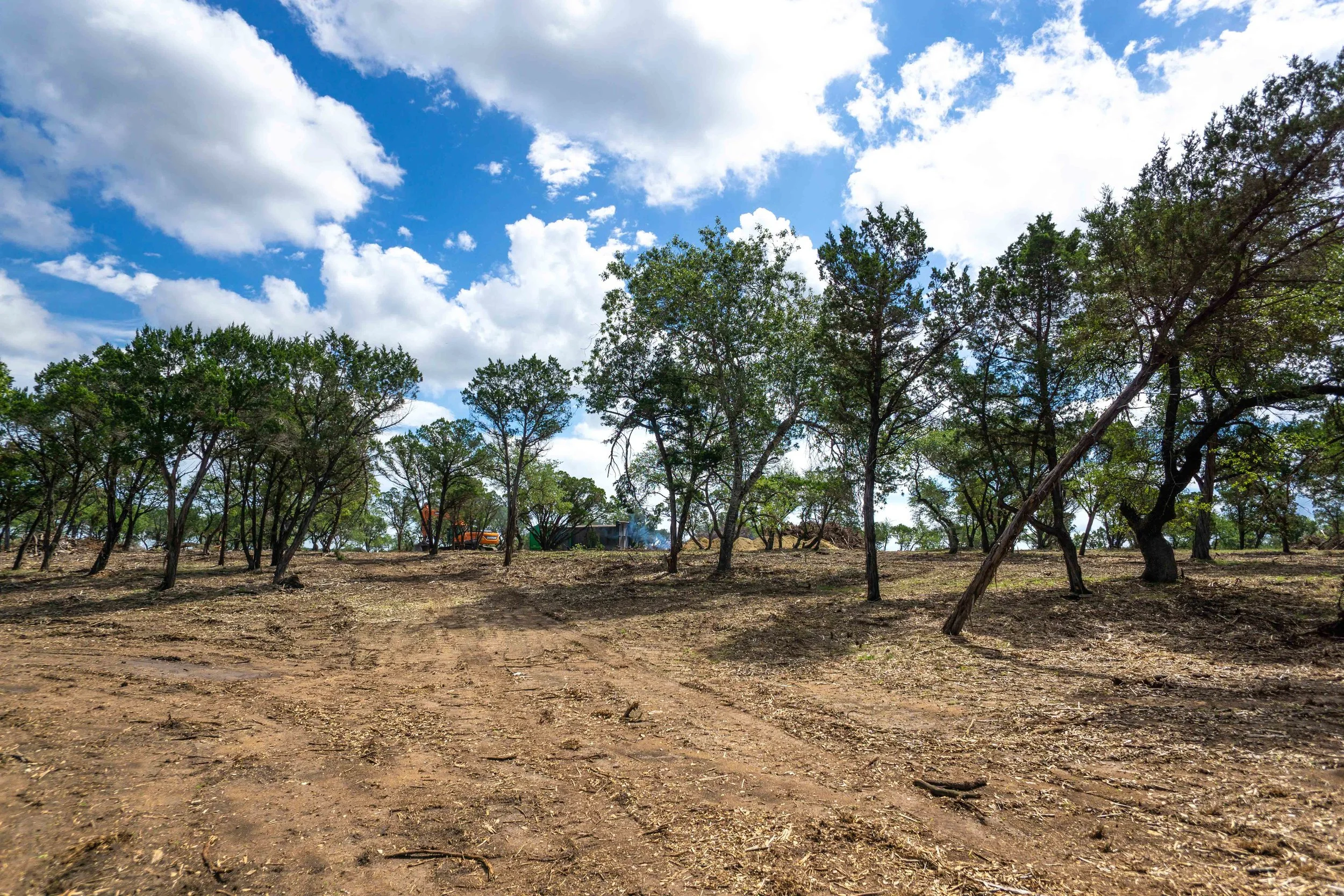 Belterra Land Clearing Project Kleensite
