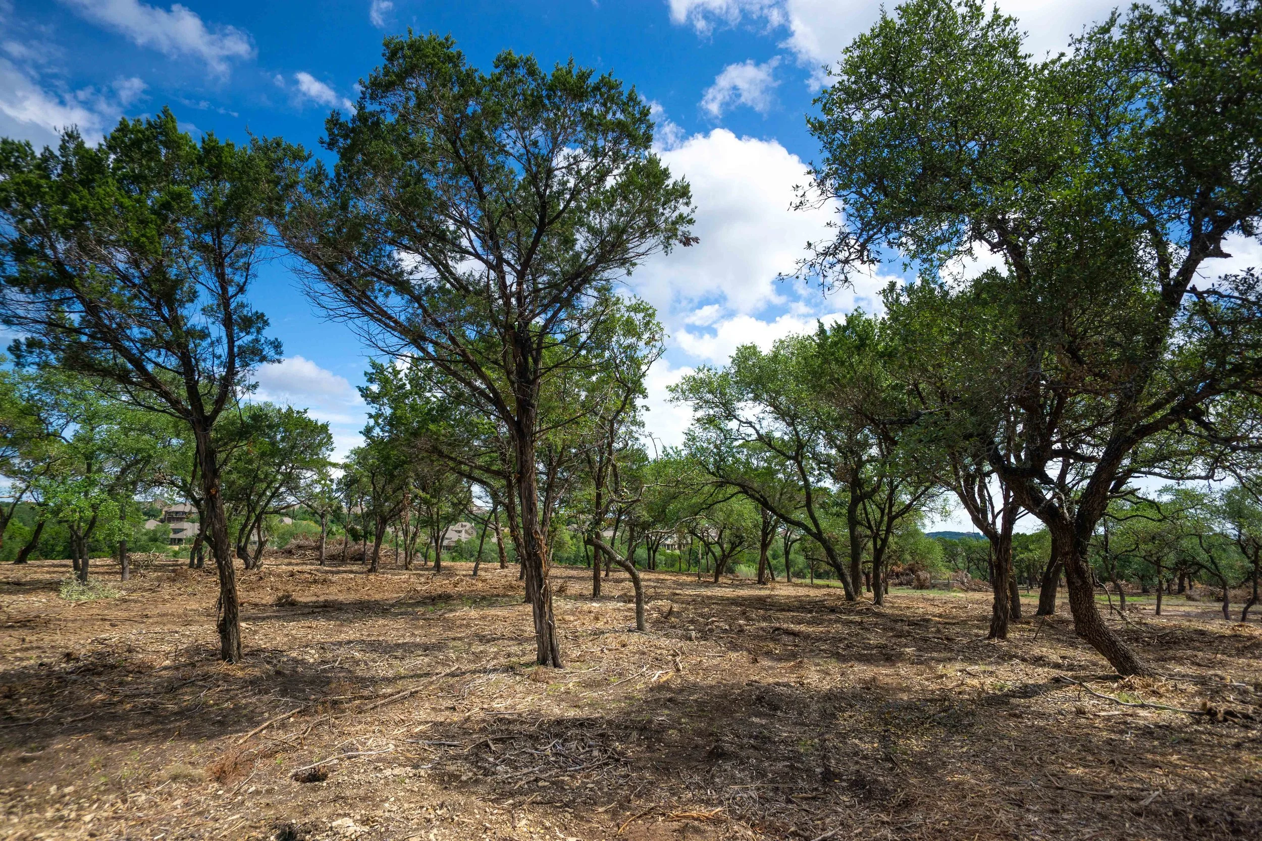 Belterra Land Clearing Project Kleensite