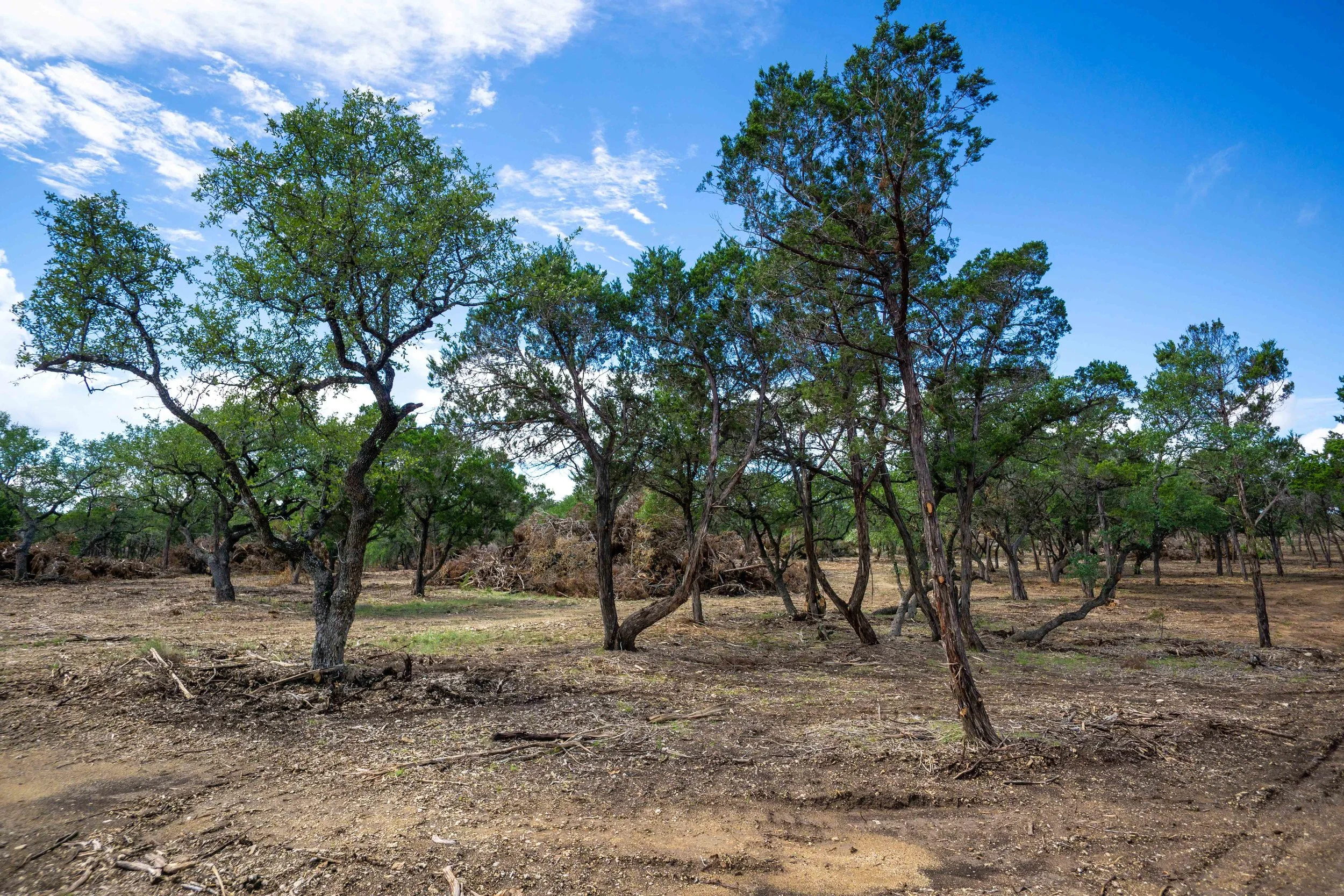 Belterra Land Clearing Project Kleensite