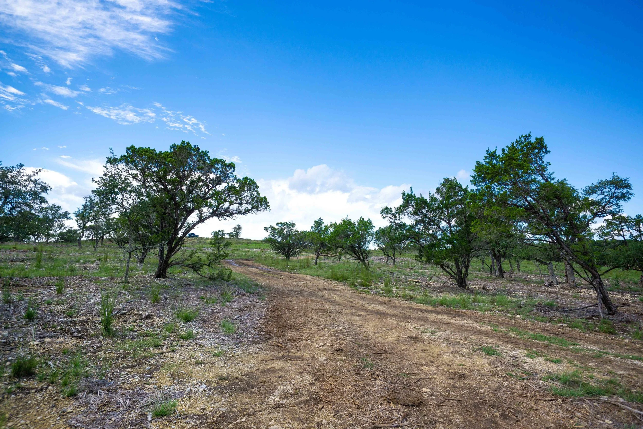 Belterra Land Clearing Project Kleensite