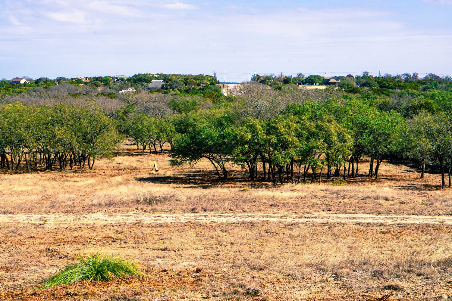 land clearing services san antonio