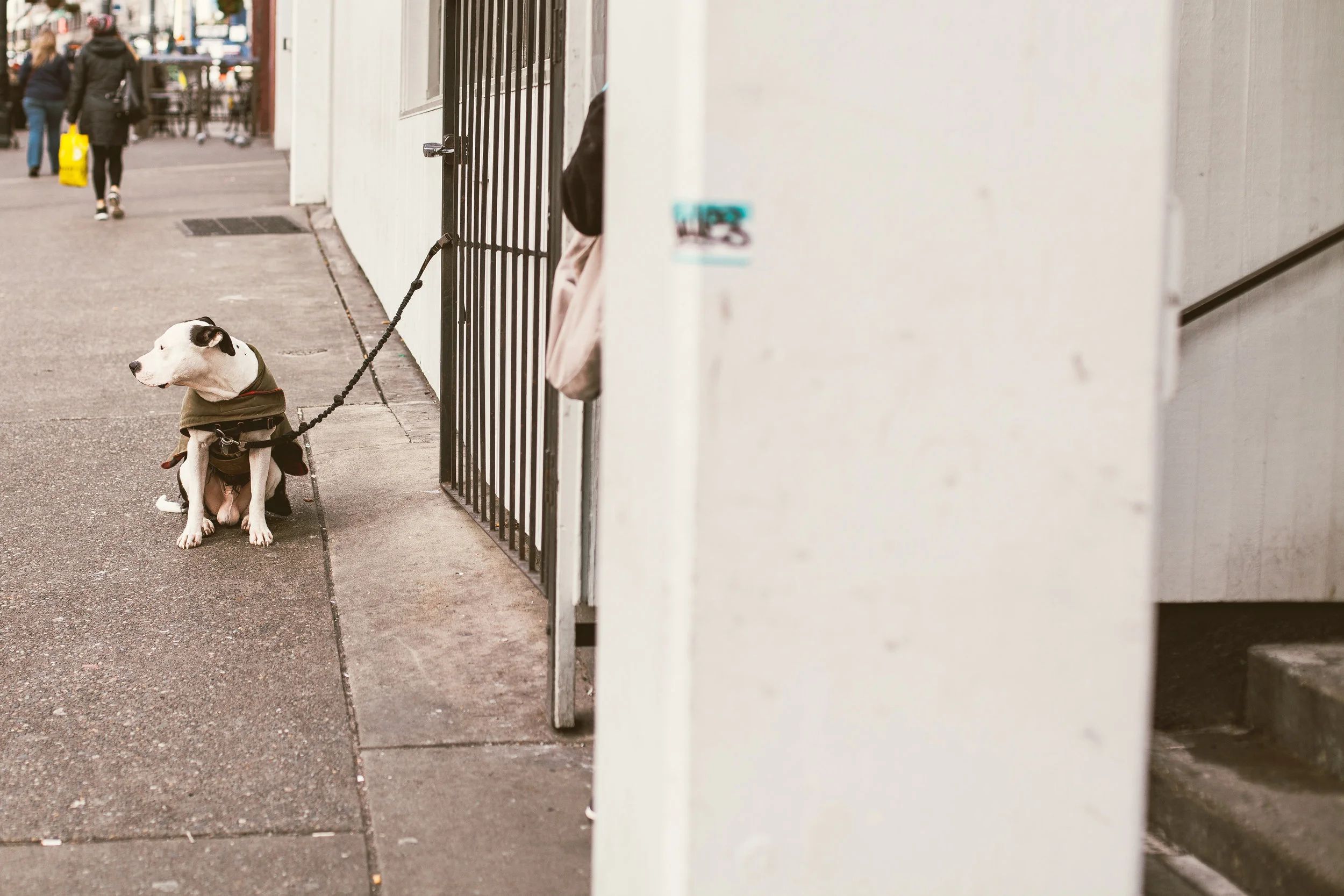 PNW 2015 Portland Seattle-PNW 2015-0184.jpg