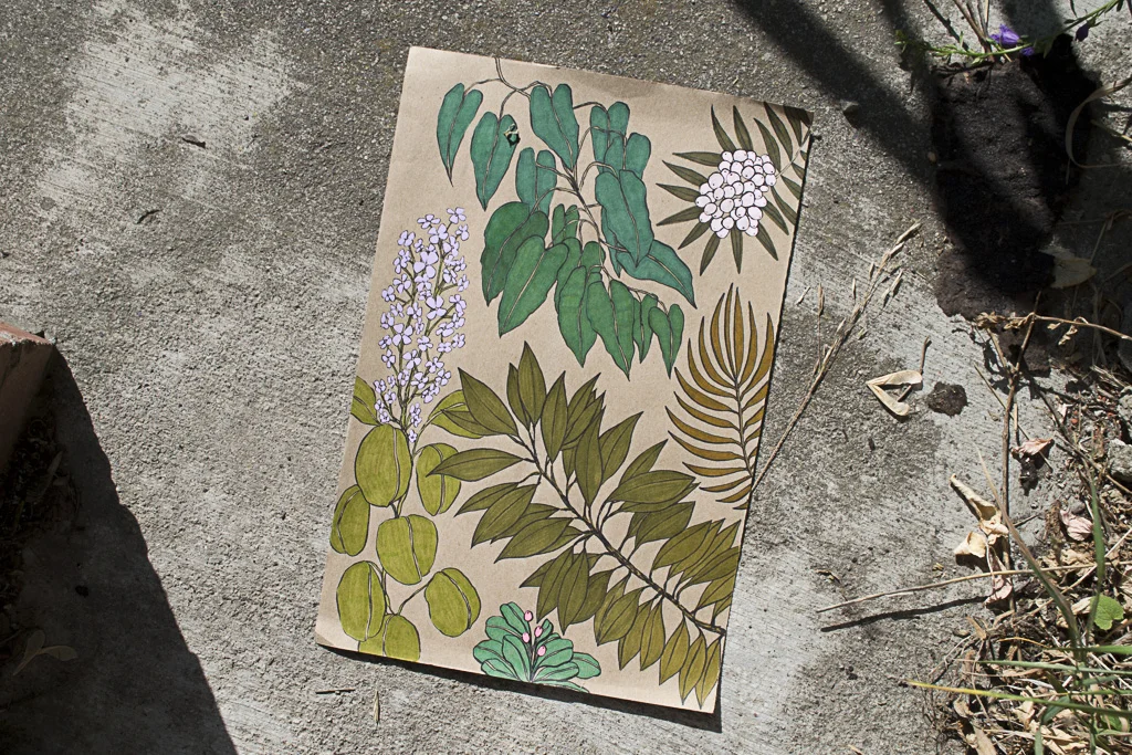 Botanicals