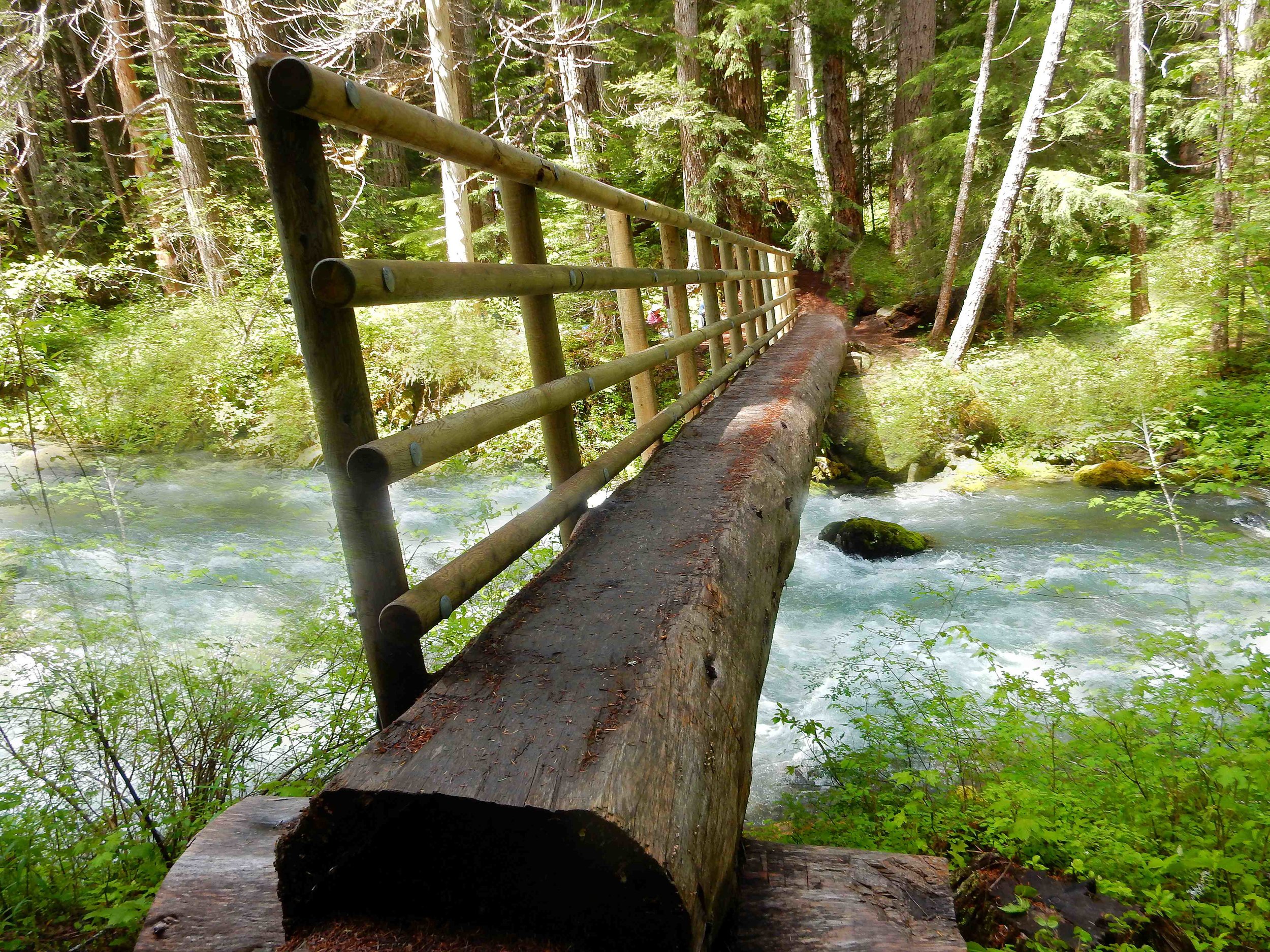  SUMMER - Bridge over Dungeness River 