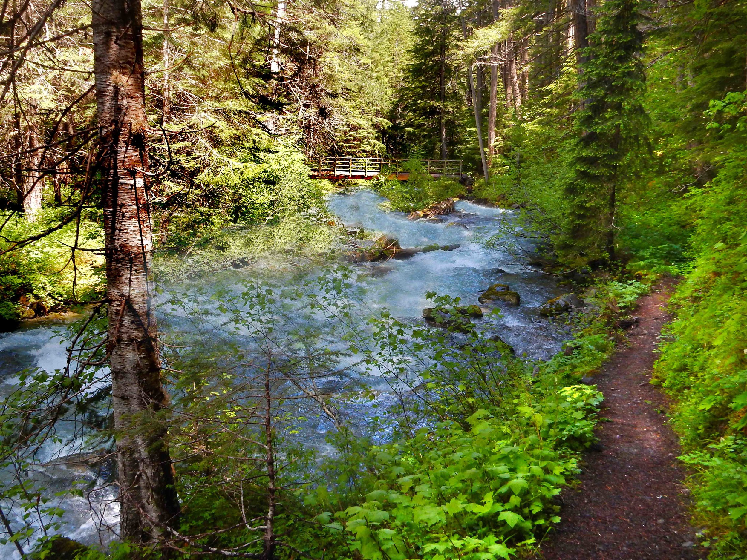  SUMMER - Path along the Dungeness River 