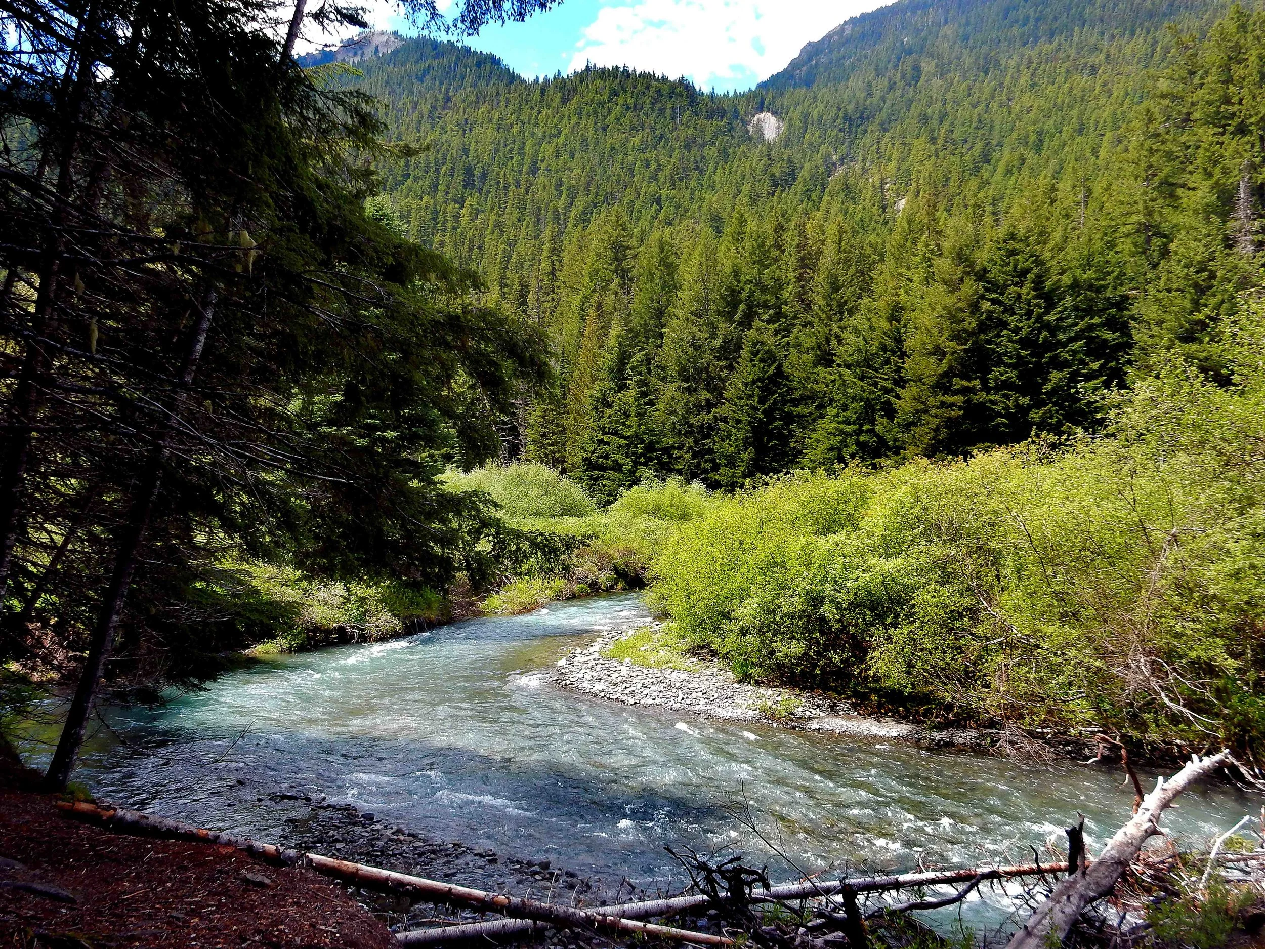 SUMMER - Dungeness River