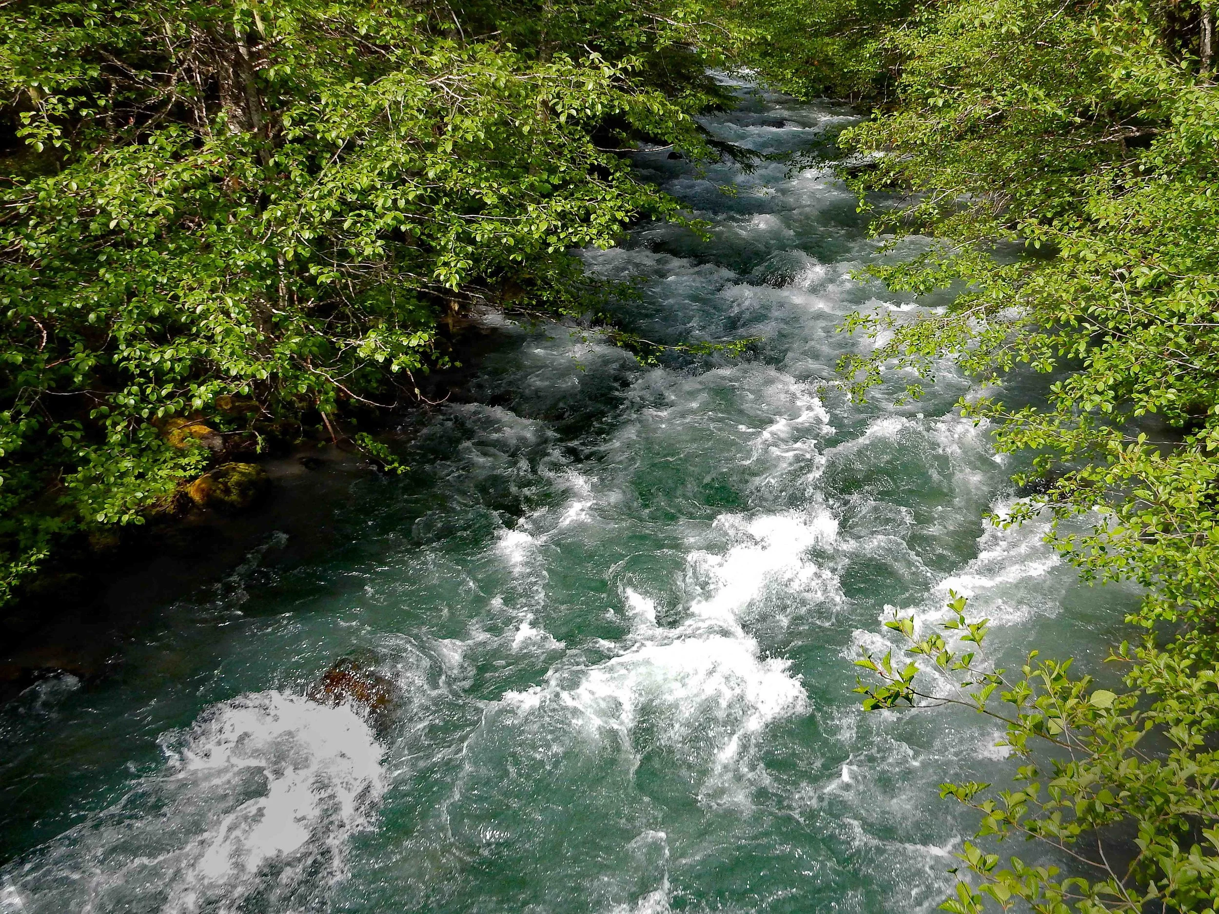 SUMMER - Dungeness River