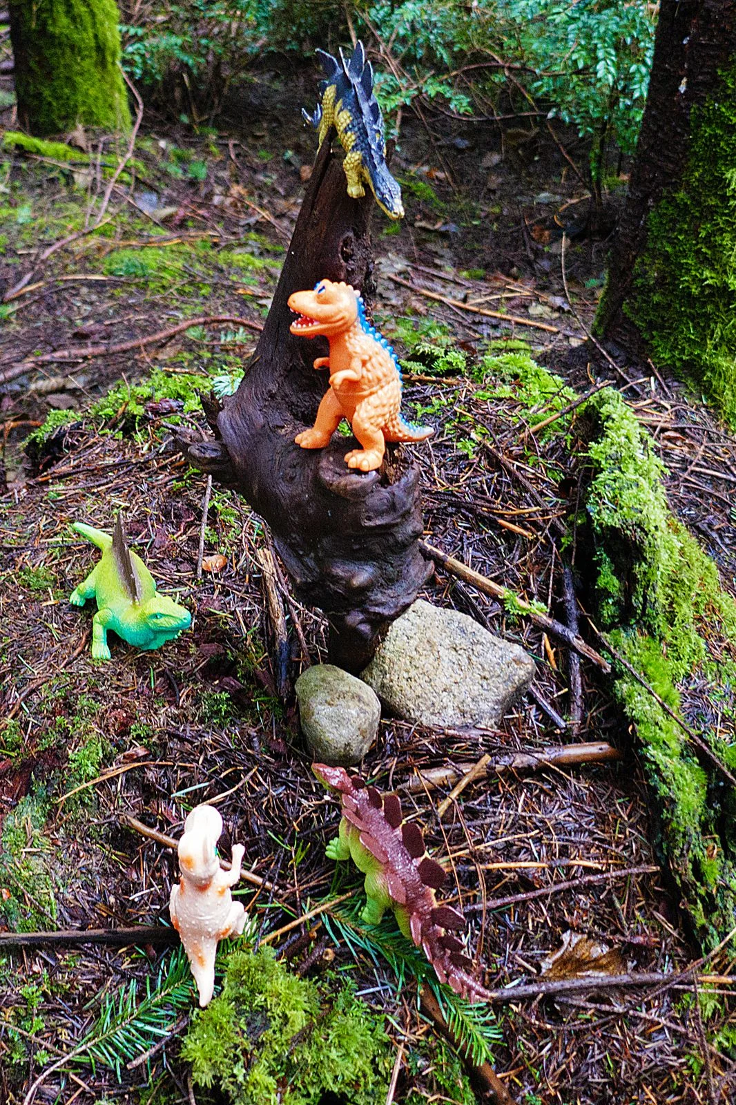 They had some really strange creatures in these woods