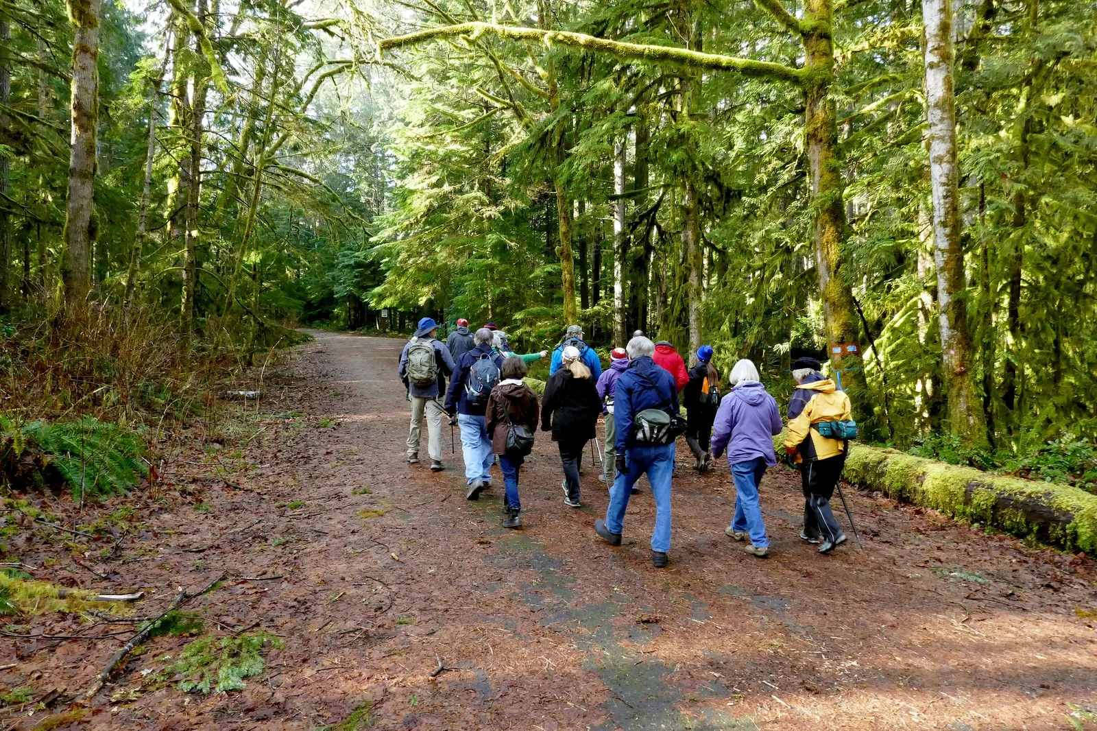 The hike to Falls View Canyon begins