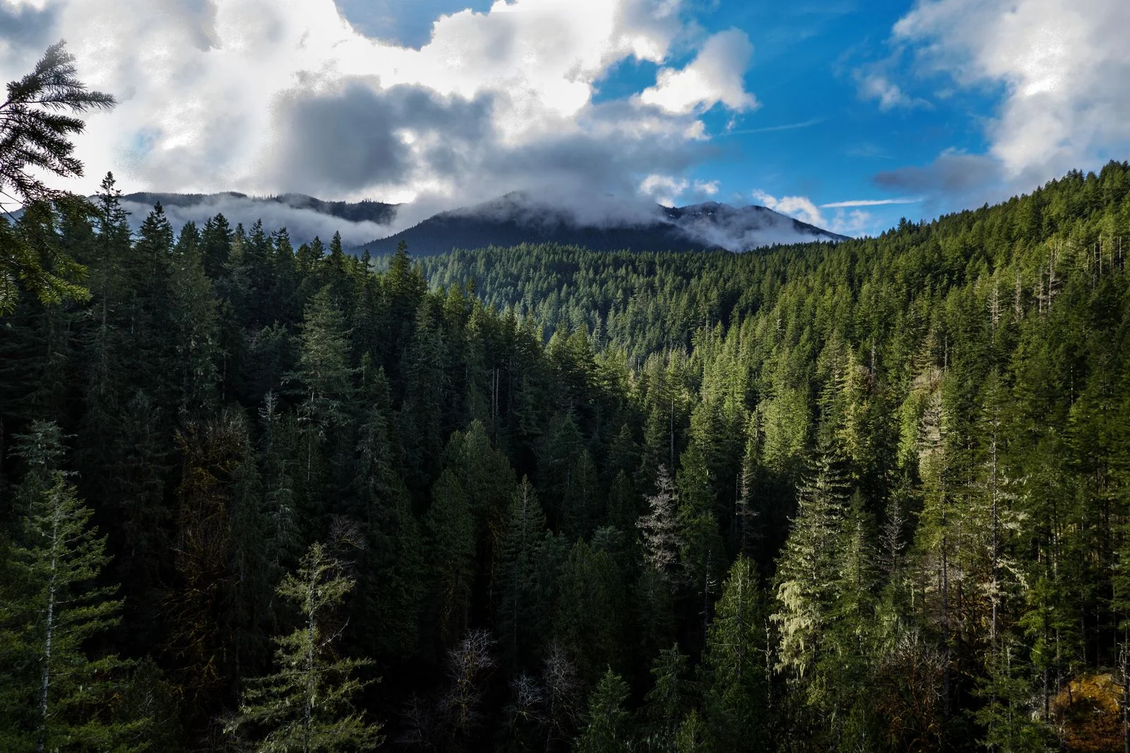 Falls View Canyon