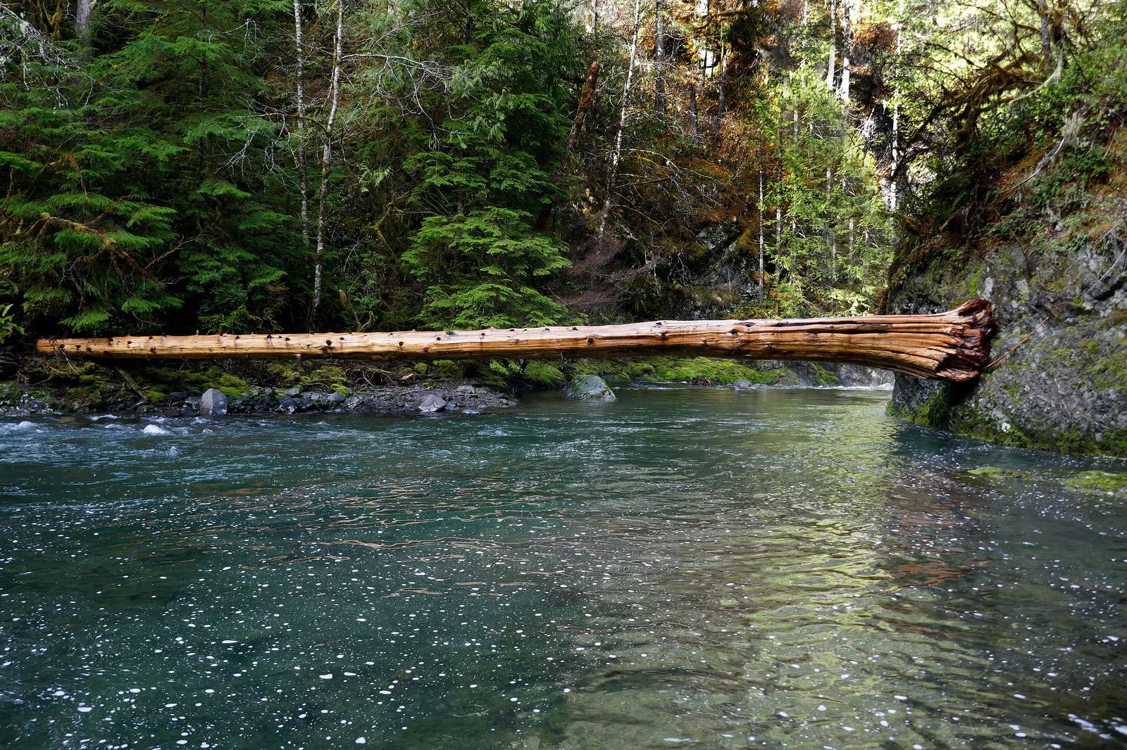 The Big Quilcene River at the bottom of the Falls